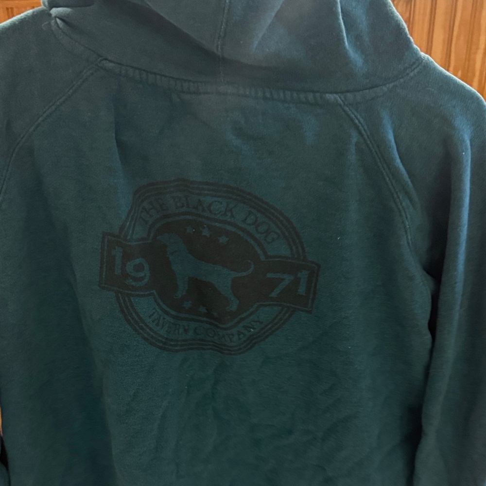 The Black Dog Teal Pullover Hoodie with Subtle Logo - Picture 2 of 13